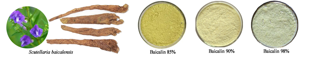 1669605772572410.jpg 001.jpg