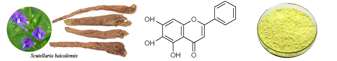 1671696642859874.jpg Baicalein 2.jpg