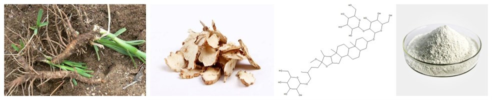 1675308865218652.jpg initpintu_副本.jpg